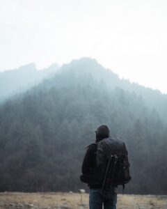 Sample review: a study on the Psalms